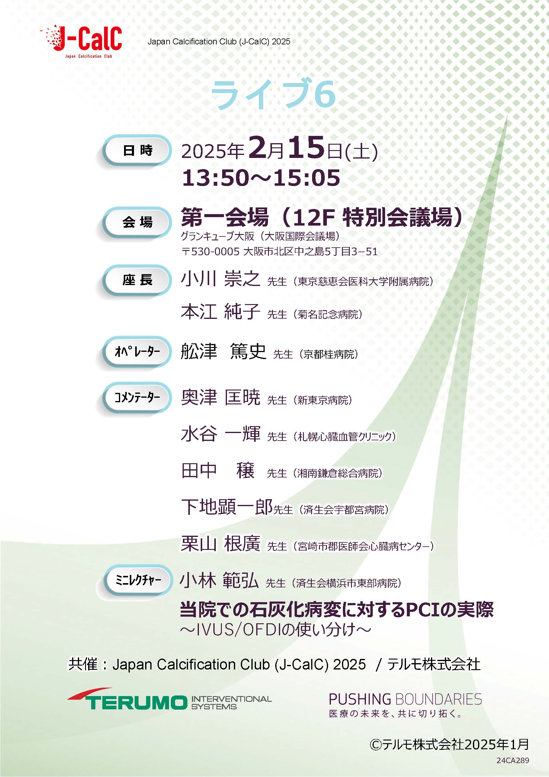 ランチョンセミナー2のPDF画像