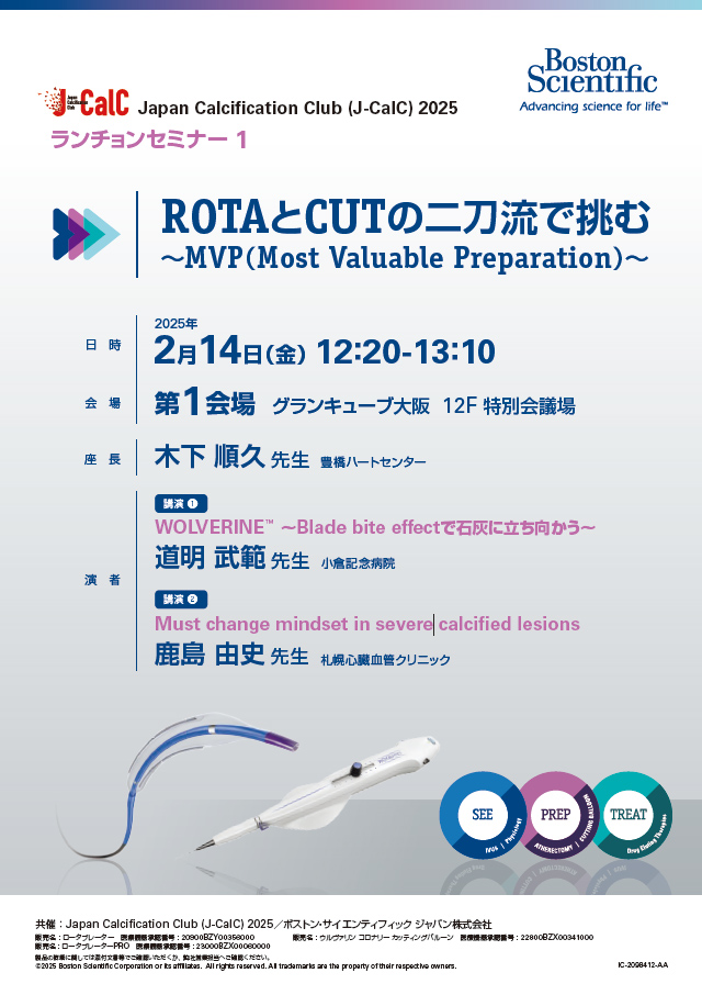 ランチョンセミナー2のPDF画像